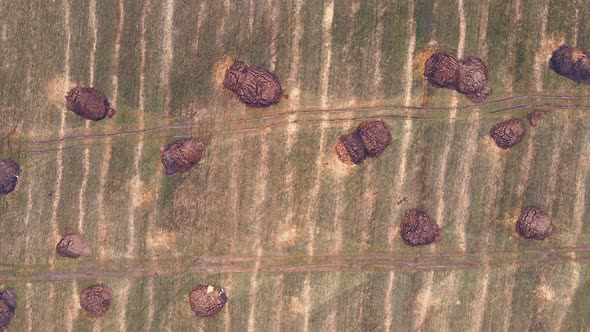 Useful Round Heap of Manure on an Agricultural Field Aerial View