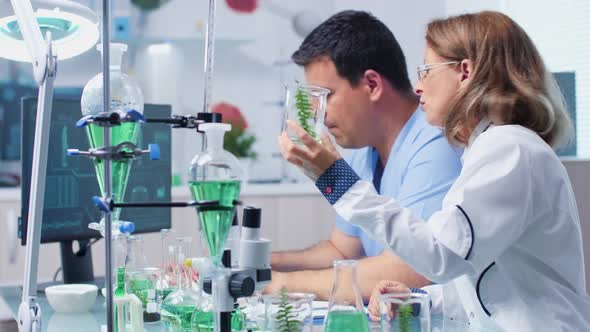 Senior Female Researcher Talking with Her Assistant