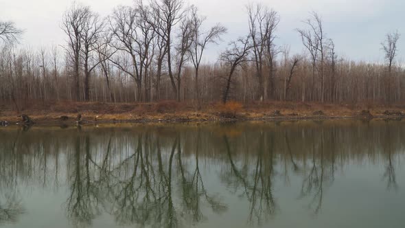 Beautiful scenic 4k video of the river with forest in the background.