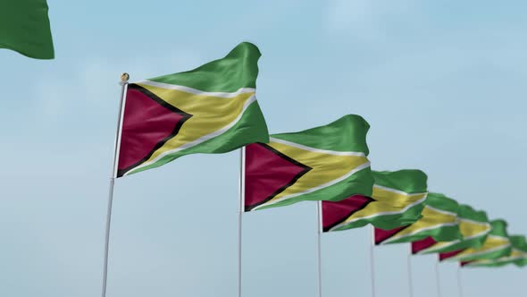 Guyana  Row Of Flags 