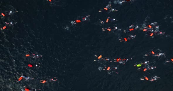 Swimming Competitions a View From a Height