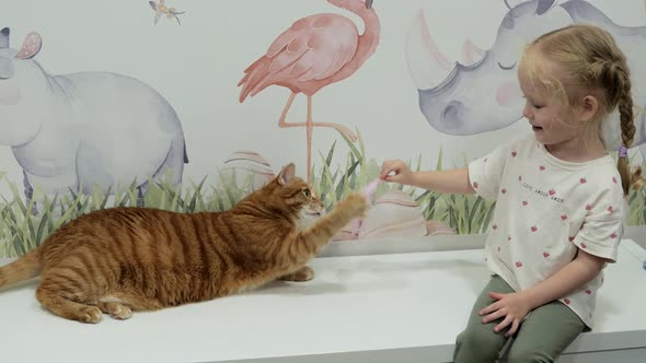 Funny Little Girl Playing with a Cat