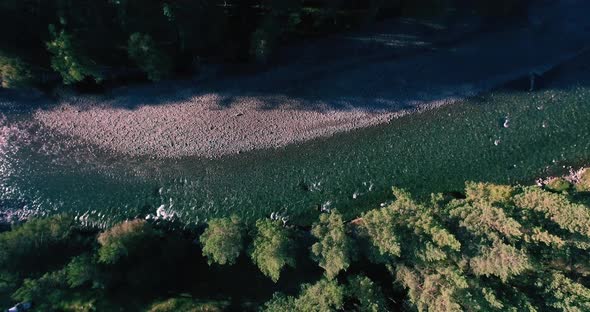 Mid Air Flight Over Fresh and Clean Mountain River at Sunny Summer Morning. Vertical Movement