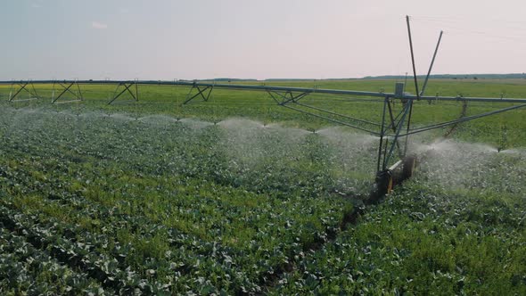 Agriculture Irrigation of Farm Field. Automatic Artificial Irrigation of the Field for Good Harvest