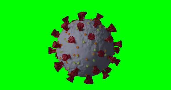 Macro coronavirus Covid 19 cell spinning on green screen background