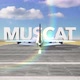 Commercial Airplane Landing Capitals And Cities   Muscat - VideoHive Item for Sale
