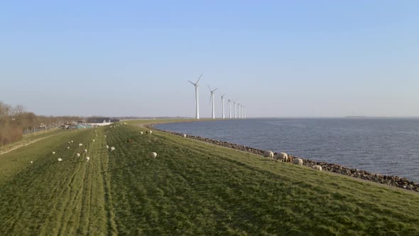 Tranquil scene, flock of sheep on green grass field, riverside lake, Windmill spinning in Background