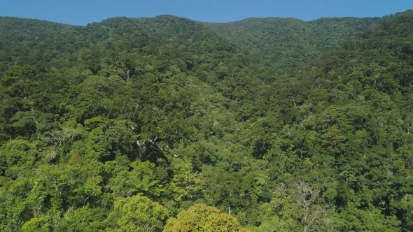 View Mountain Landscape Rainforest