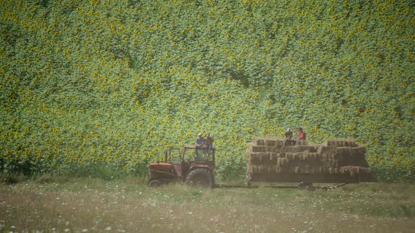 Tractor On Field