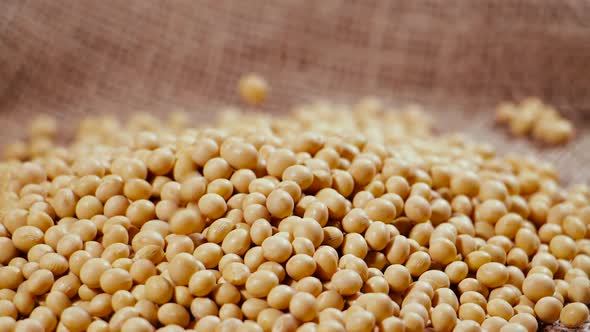 Soybeans in a Bag Readymade Raw Seed Material Natural Organic Protein Product Meat Substitute