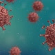 Covid 19 virus 3d video - VideoHive Item for Sale