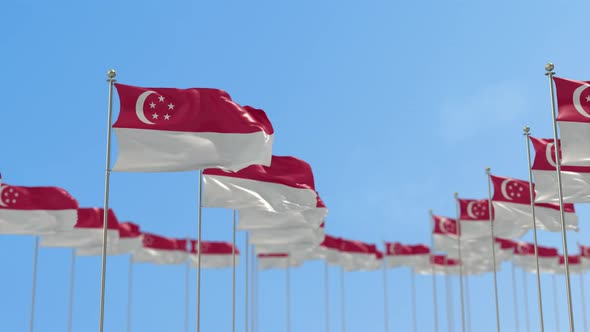 Singapore Row Of Flags Animation