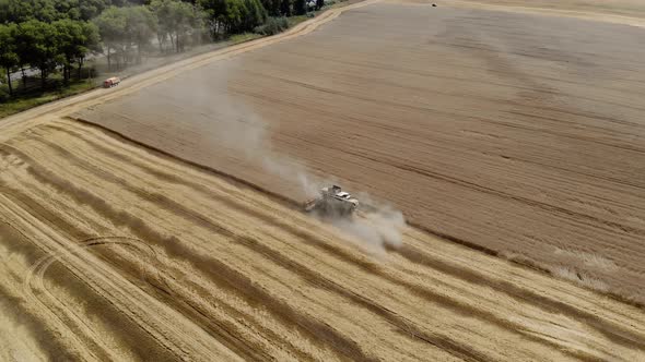 Top View of the Harvester Collects Wheat