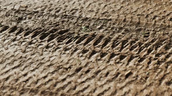 Wheel Tracks on Rough Road alt