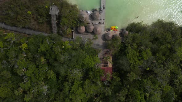 Aerial Birds Eye Overhead Top Down Panning View of Tropical Forest