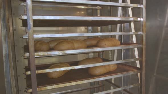 Bakers Hands Turn the Lever and Open Metal Door of a Big Baking Oven