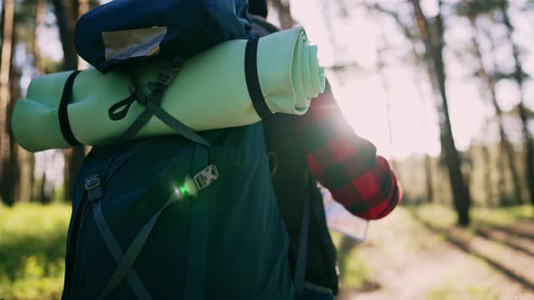 Beautiful Nature Landscape and Walking Travel Young Man with Hiking Equipment in Backpack in Field