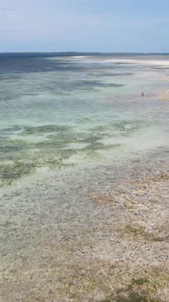 Tanzania  Vertical Video of Low Tide in the Ocean Near the Coast of Zanzibar Slow Motion