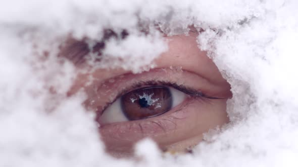 a Closeup of the Female Eye Peeps Out From Under the Snow