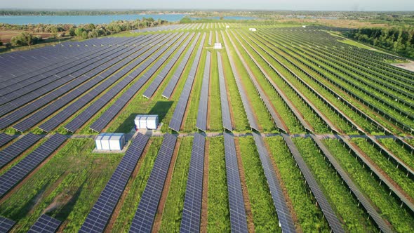 Aerial View Solar Power Station on Green Field at Sunset Solar Panels in Row