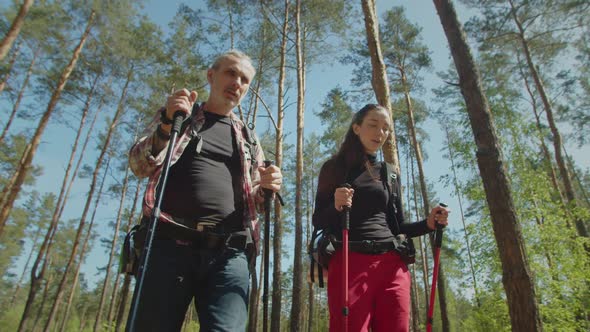 Active Backpackers with Poles Travelling on Forest Trail