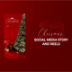 Christmas Story & Reels Pro - VideoHive Item for Sale