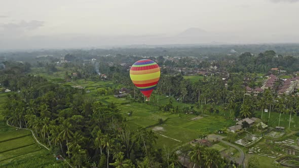 Drone Over Hot Air Balloon Over Rice Fields