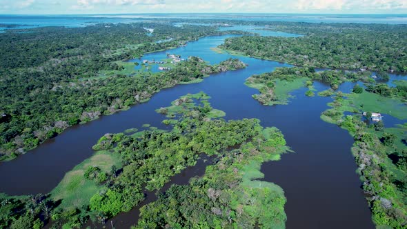 Stunning landscape of Amazon Forest at Amazonas State Brazil.