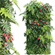 Vertical garden 14 - 3DOcean Item for Sale