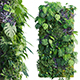 Vertical garden 15 - 3DOcean Item for Sale