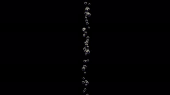 Transparent Bubbles Go Up Underwater Over Black Background alt