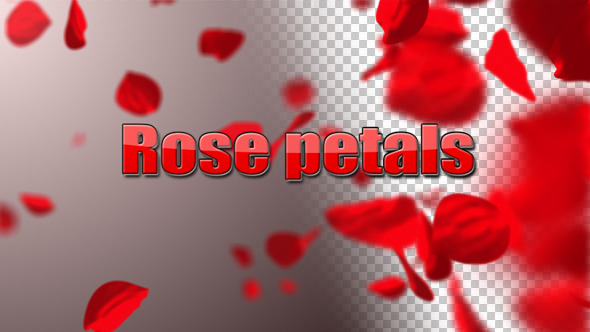 Alpha Rose Petals