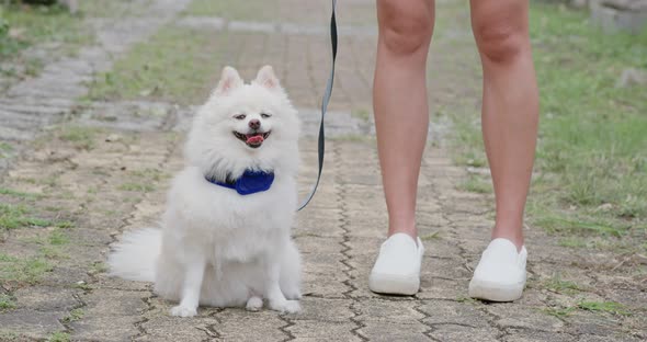Woman go out with her Pomeranian dog 
