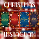Merry Christmas Instagram Stories - VideoHive Item for Sale