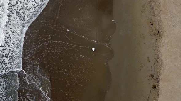 Unbelievable aerial drone flight bird's eye view drone shot wave coastline. A guy walk in the ocean.