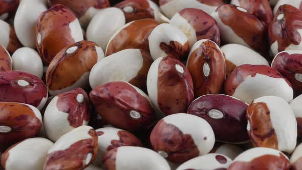 Colorful bean seed were produced under organic condition.