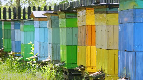 Ecological apiary with beehives in the garden, Poland