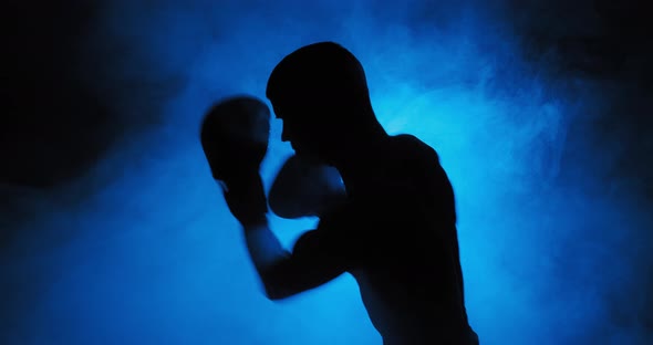 Silhouette Boxing 