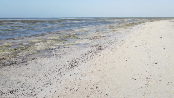 Ocean at Low Tide Near the Coast of Zanzibar Island Tanzania Slow Motion