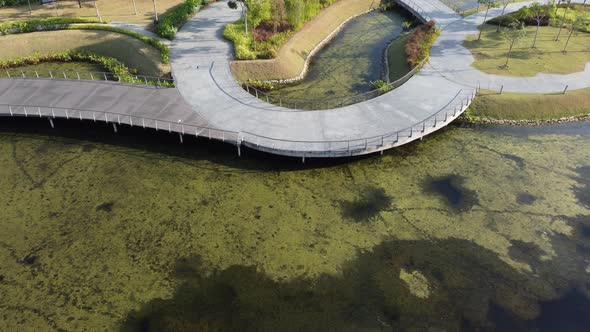 Sliding over dry pond and green tree