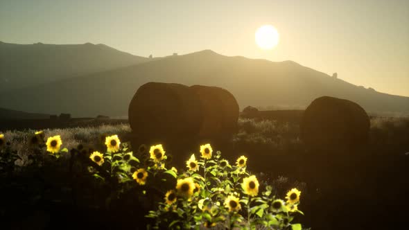 Hay Bales in the Sunset