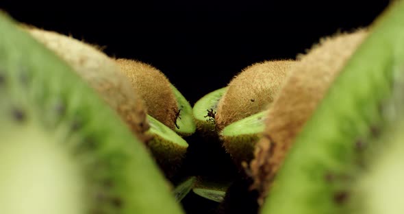 Fresh kiwi fruit super close up macro
