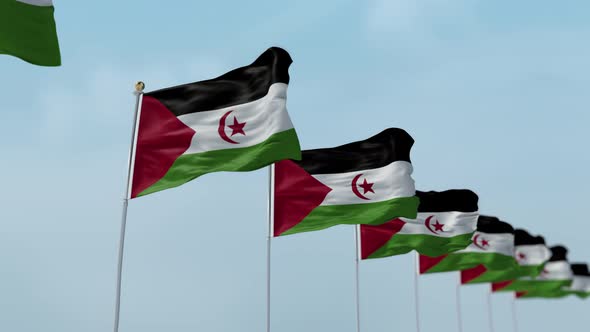 Western Sahara Row Of Flags 