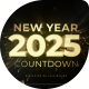 New Year Countdown - VideoHive Item for Sale