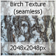 Brich Texture (seamless) - 3DOcean Item for Sale