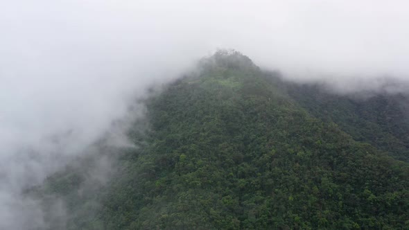 The Rainy Clouds Covered the Top of Green Forest Mountain