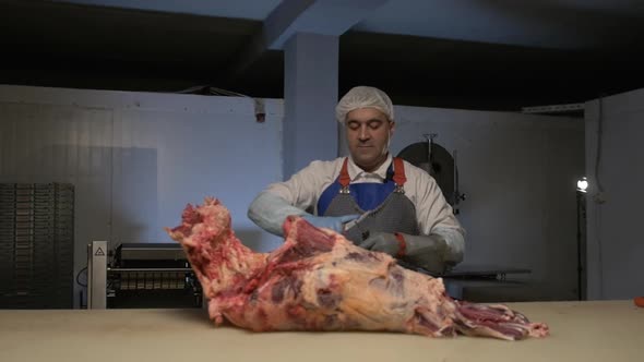 Meat Processing Plant Butcher Cuts Beef Carcasses Meat Production and Food Industry the Process of