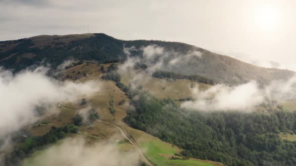 Slow Motion Aerial of Fog Flow Over Mountain Pine Forest