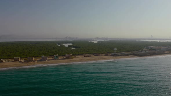 A beach aerial view with mangroves area
