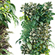 Vertical garden 21 - 3DOcean Item for Sale